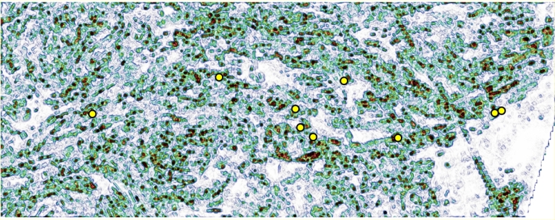 Complexity mapping service figure 4