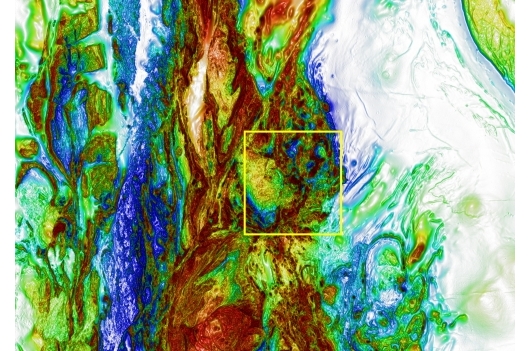 Intrusion detection service figure 1